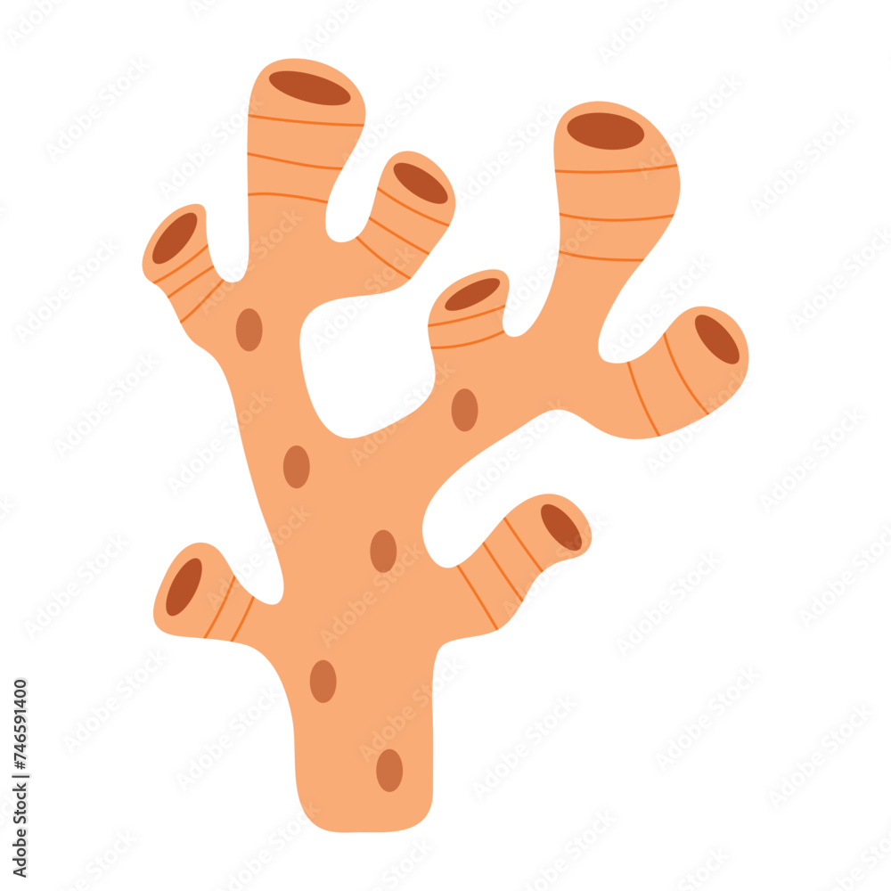 Obraz premium Coral Vector Illustration