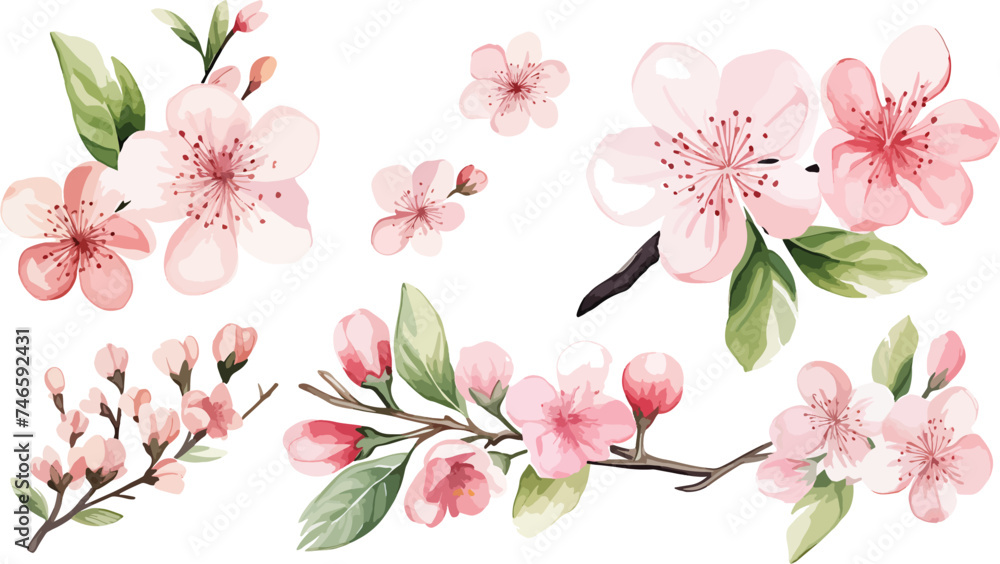 Set of Watercolor pink cherry blossoms blooming elements. Pink cherry green leaves branch, and stem isolated on light background. Suitable for decorative invitations, posters, or cards Set of Watercolor pink cherry blossoms blooming elements. Pink cherry green leaves branch, and stem isolated on light background. Suitable for decorative invitations, posters, or cards