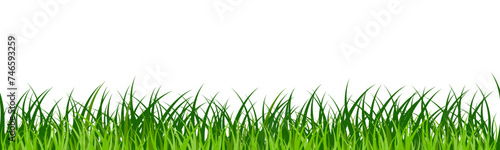 Realistic green grass border, field, lawn, meadow landscape banner isolated on transparent background. Vector seamless Easter Pattern 