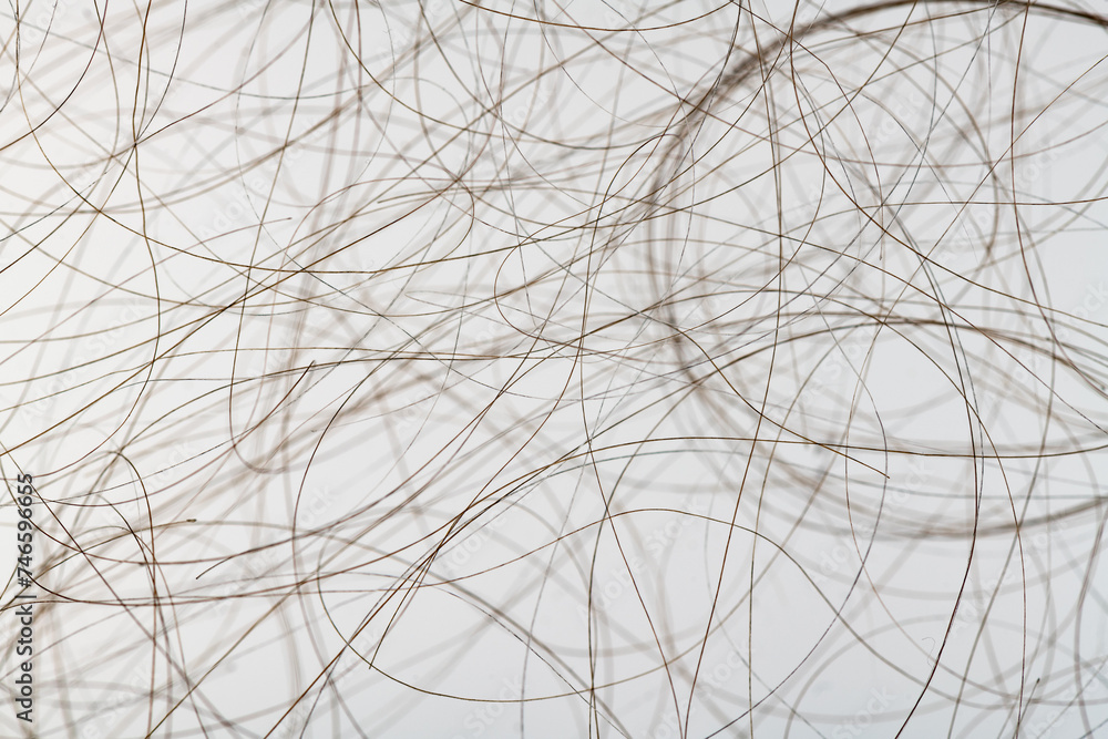 Macro close up of isolated gray and brown human hair strand follicles texture overlay
Macro close up of isolated gray and brown human hair strand follicles texture overlay