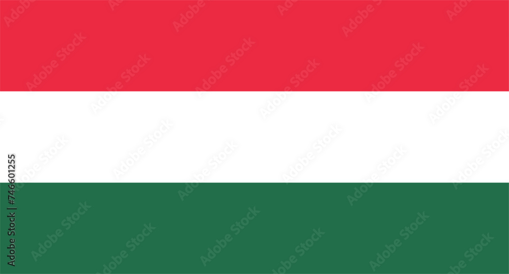 vector illustration of the flag of Hungary