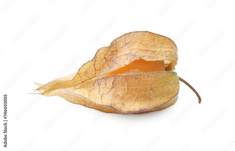 Ripe physalis fruit with calyx isolated on white Ripe physalis fruit with calyx isolated on white