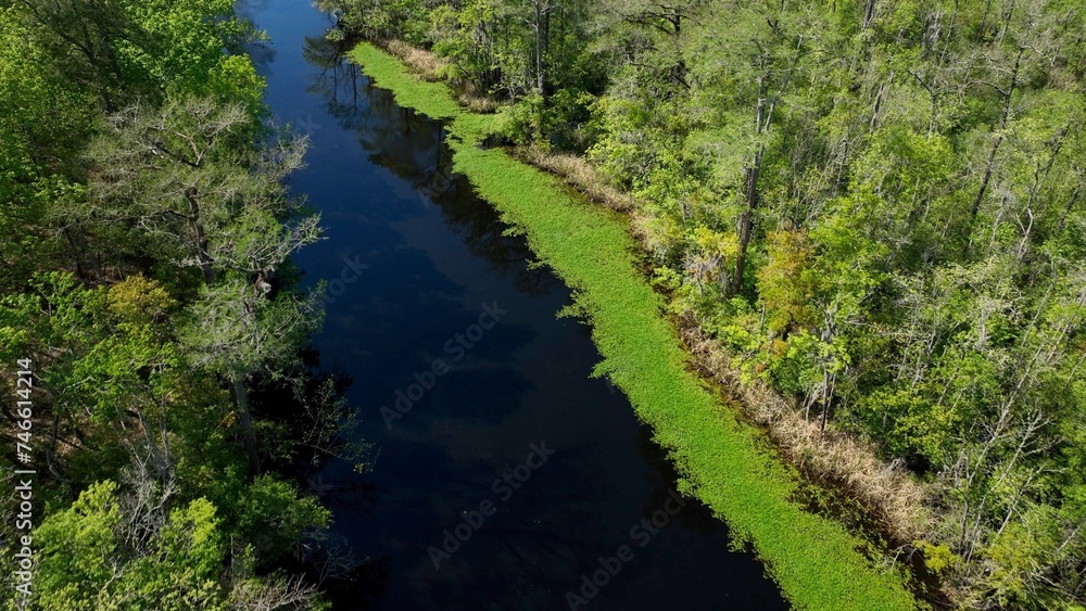 Peaceful creek in marsh land during Spring time in South Carolina Low Country with green trees along the bank