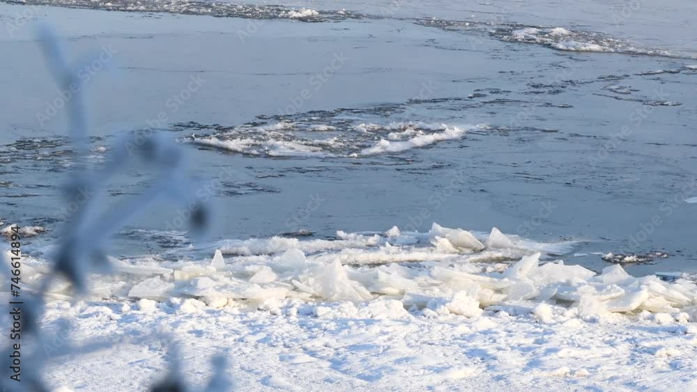 A snowy river bank with ice floes floating along the river, and blurred bush branch in foreground A snowy river bank with ice floes floating along the river, and blurred bush branch in foreground