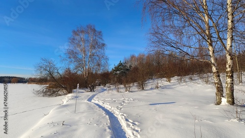 In winter, the lake is covered with ice, and there is snow on top. On the shore there are pine trees, birches and willows and a path in snow drifts. Footprints in the snow. Sunny and cool winter