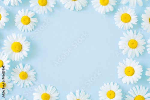 Circle frame of beautiful fresh white yellow daisies flower heads on light blue table background. Pastel color. Closeup. Empty place for inspirational text, positive quote or sayings. Top down view.