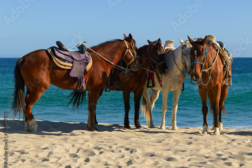 Fototapeta Naklejka Na Ścianę i Meble -  Saddled Horses On Beach