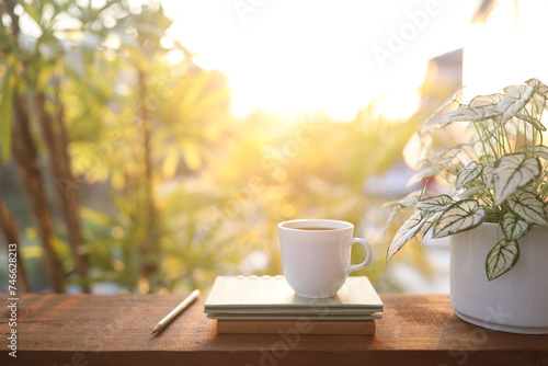 Coffee cup and notebook and Angel wings plant on wooden table under sunlight photo