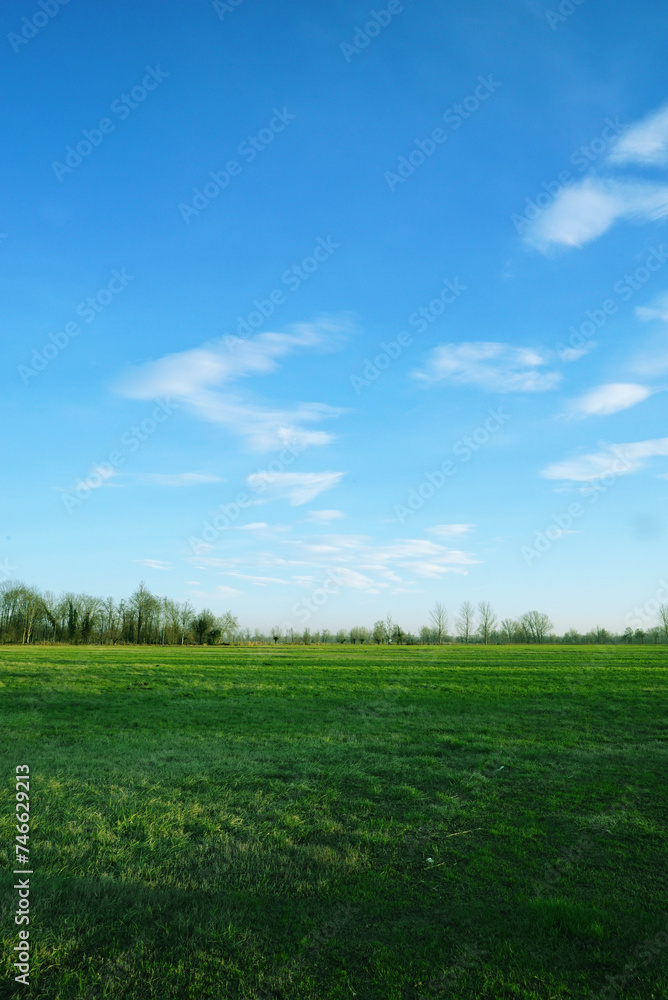 Big Field Of Green Grass With Cloudy Blue Sky