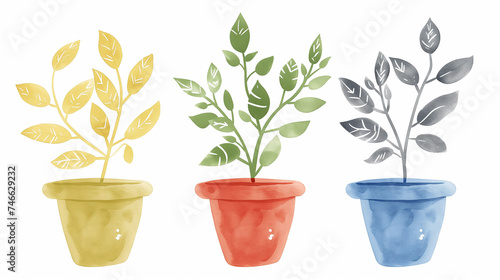 Conjunto de Vasos de plantas isolados sobre fundo branco. Ilustra    o em aquarela.