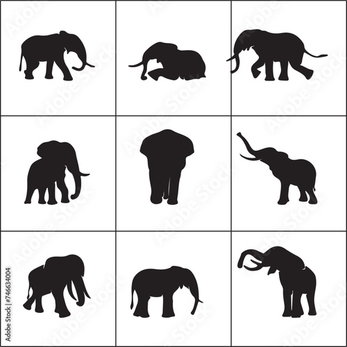 set of animals silhouettes Elephant collection
