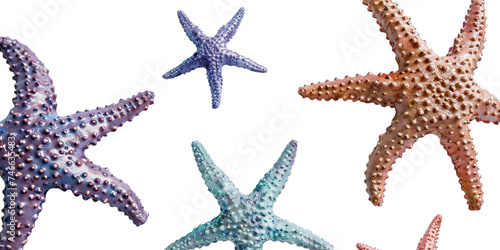 starfish isolated on transparent background, generative AI. photo