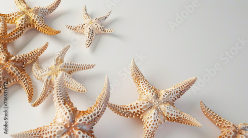 Starfishes on white background with copy space for your text. Generative AI.