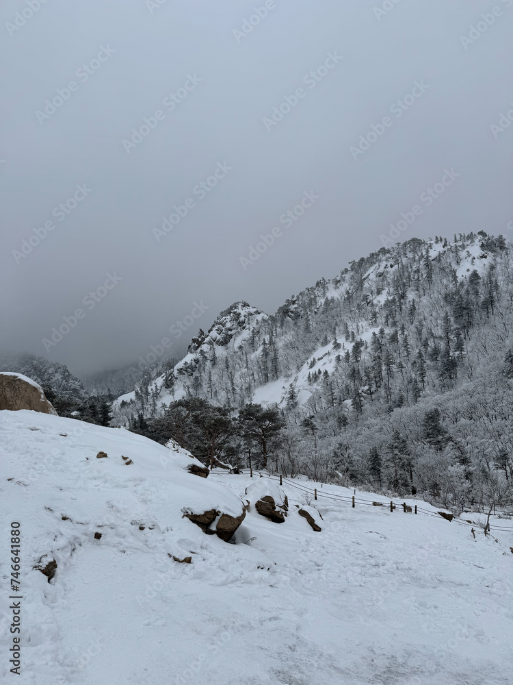 Big rocks and trees on a snow-covered mountainside, a snow covered slope, unedited social media photo