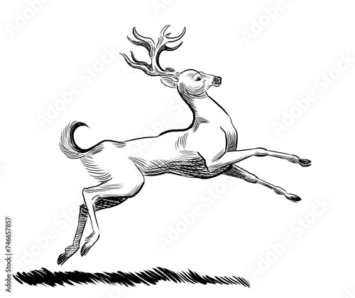 Running deer. Hand-drawn retro styled black and white drawing