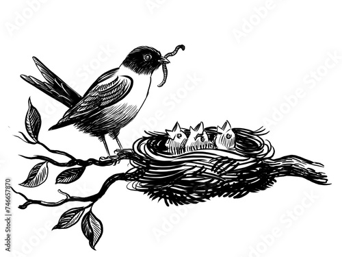 Bird feeding its babies in the nest. Hand-drawn retro styled black and white drawing