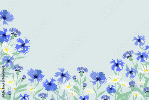 Cornflower background border frame.  German National flower emblem vector illustration. 