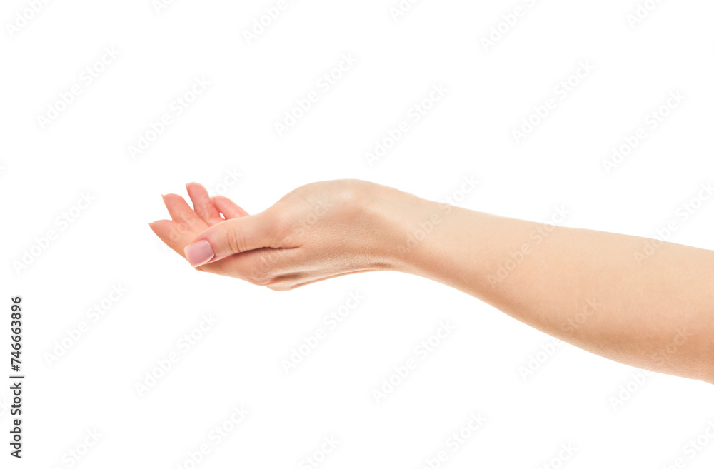  Hend. Close up of beautiful female hand holding isolated on white background.