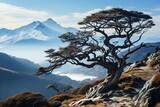a small mountain range and trees with snow covering them, in the style of confucian ideology, twisted branches, documentary travel photography joyful celebration of nature, nature-based patterns
