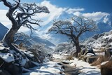 a small mountain range and trees with snow covering them, in the style of confucian ideology, twisted branches, documentary travel photography joyful celebration of nature, nature-based patterns