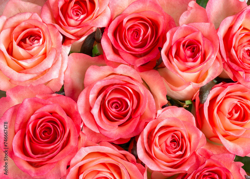 Beautiful floral backround. Close-up of pink rose flowers   bouquet of roses as background. Top view.
