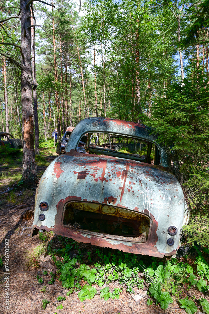 Old cars in wild nature on the Kyrko Mosse Car Cemetery, former junkyard, in the forest, Kyrkö Mosse, Ryd, Smaland, Sweden Old cars in wild nature on the Kyrko Mosse Car Cemetery, former junkyard, in the forest, Kyrkö Mosse, Ryd, Smaland, Sweden
