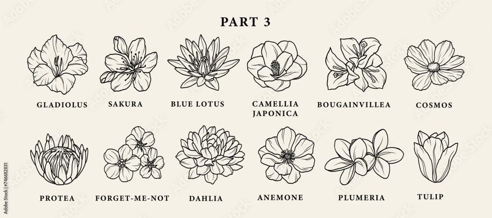 Line art garden flowers set. Botanical illustration - obrazy, fototapety, plakaty 