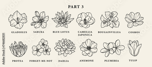 Line art garden flowers set. Botanical illustration
