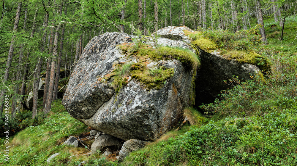 Ceresole Reale, Italy. Generic view of a mid-alpine mountain forest environment, in Val Orco, in Piedmont, Italy. Huge rock covered in moss and lush vegetation. Background of natural elements. Ceresole Reale, Italy. Generic view of a mid-alpine mountain forest environment, in Val Orco, in Piedmont, Italy. Huge rock covered in moss and lush vegetation. Background of natural elements.