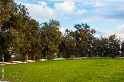 Large eucalyptus trees and a white picket fence line a grass polo field