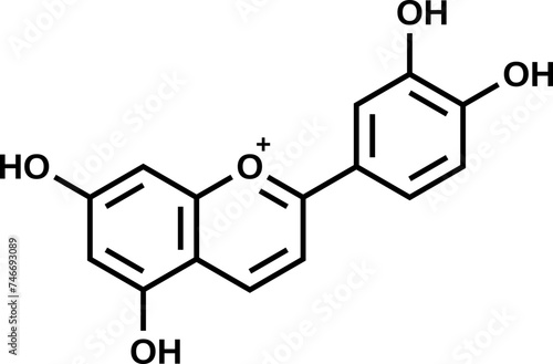 Luteolinidin structural formula, vector illustration