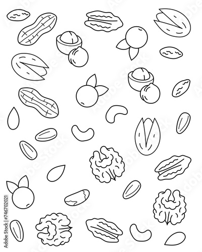 Nuts, seeds, berries. Pattern. Coloring page, black and white vector illustration.