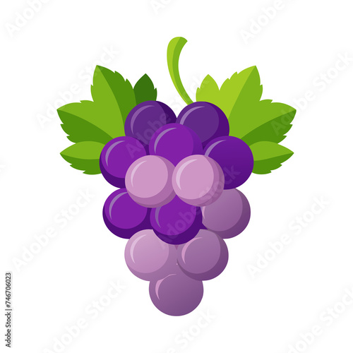 flat logo vector bunch of grapes isolated on white background