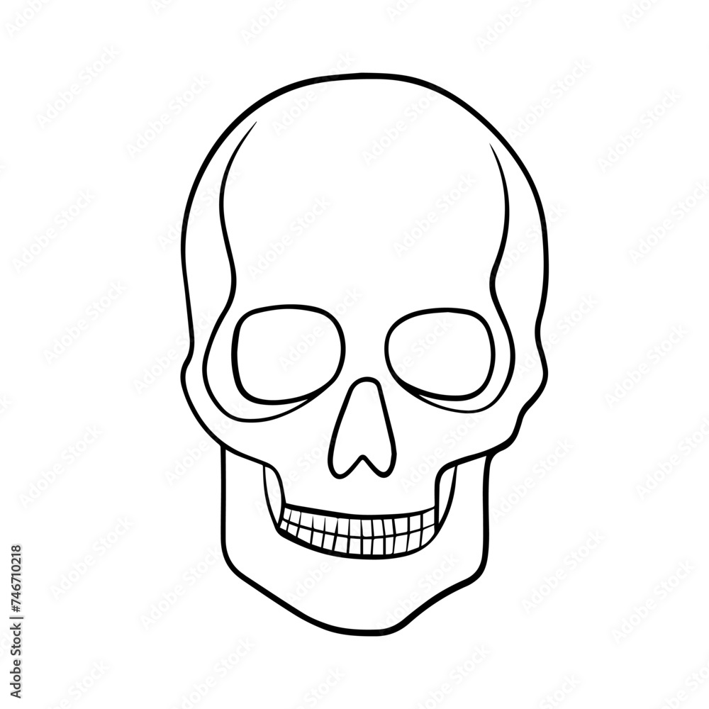 Vector isolated illustration of human skull for Day of the Dead in Mexico.