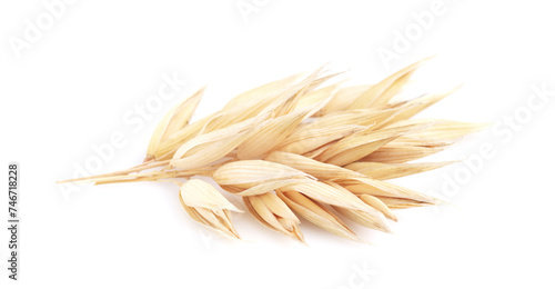 Oats spike in closeup on white background