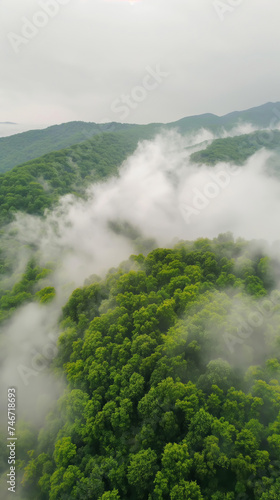 Misty clouds float low over lush tropical forest, aerial view