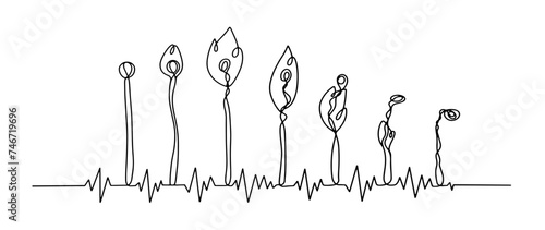 Matches. Combustion. Life cycle. Cardiogram. Pulse.