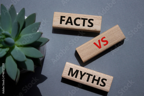 Facts vs Myths symbol. Wooden blocks with words Facts vs Myths. Beautiful grey background with succulent plant. Business and Facts vs Myths concept. Copy space.