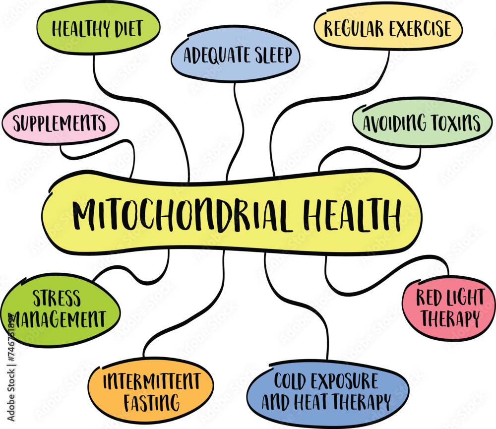 mitochondrial health concept - mind map infographics, vector sketch ...