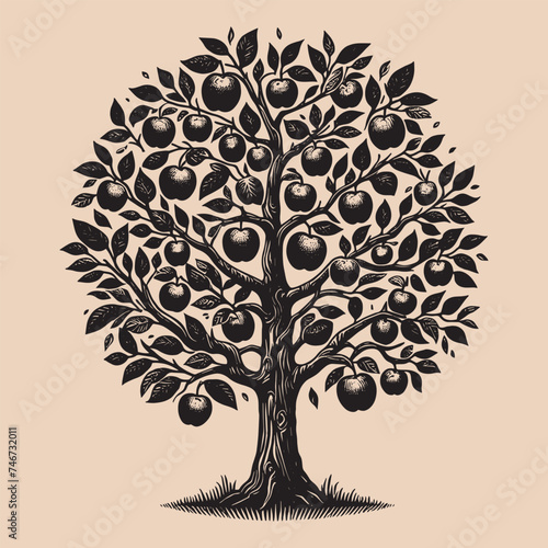 Apple tree. Old vintage engraving illustration. Hand drawn outline graphic. Logo, emblem, icon. Isolated object, cut out. black and white	