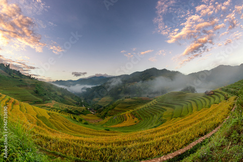 Rice fields on terraced of Mu Cang Chai  YenBai  Vietnam.