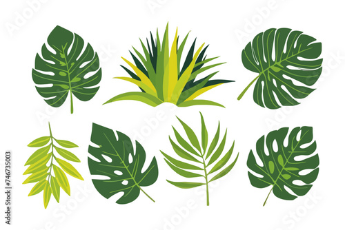 Summer palm leaf vector green plant, exotic nature set isolated on white background.