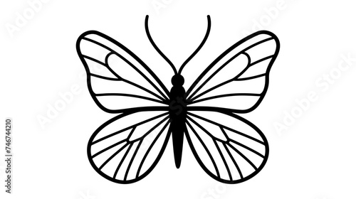 butterfly icon vector illustration on white background