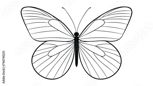 butterfly icon vector illustration on white background