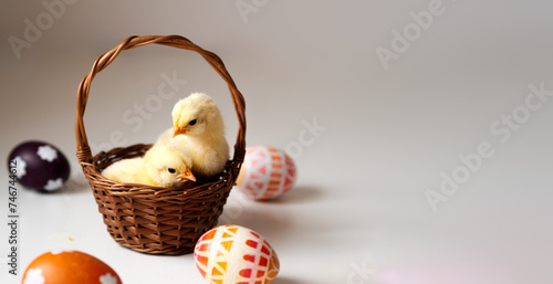 Wesołego alleluja! - dwa kurczaczki w koszyku wiklinowym w otoczeniu pisanek, urocze pisklęta