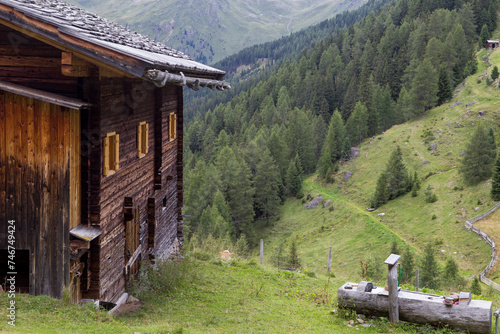 Kamelisenalm in Osttirol photo