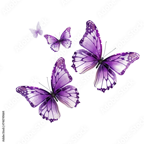 Soaring purple butterflies on white or transparent background