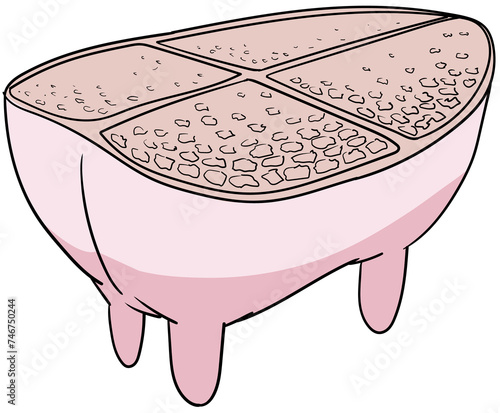 Cattle udder or bovine udder veterinary anatomy image of a cut bovine udder with mammary alveoli, milk ducts of the interior structure