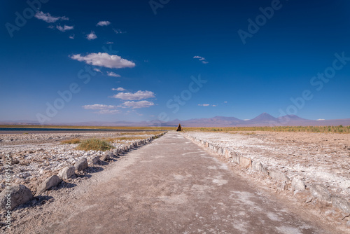 desert landscape of the highlands of Chile