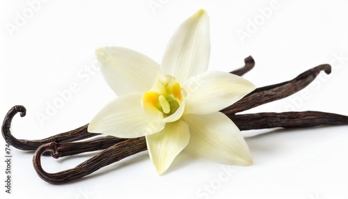 vanilla flower and bean for flavored drinks isolated on white background #746763430